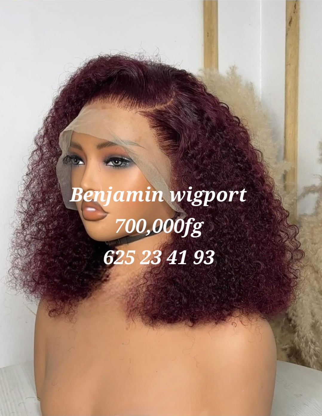 Premium Human Hair Wig β Multiple Styles & Lengths
